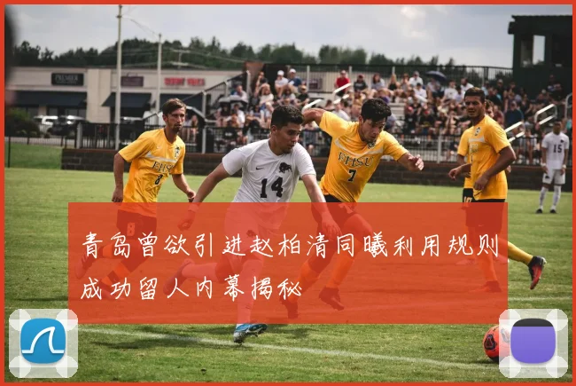 青岛曾欲引进赵柏清同曦利用规则成功留人内幕揭秘